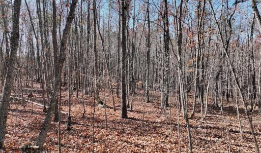 Photo #17 of Off Lemon Ridge Lane, Appomattox, VA 9.2 acres