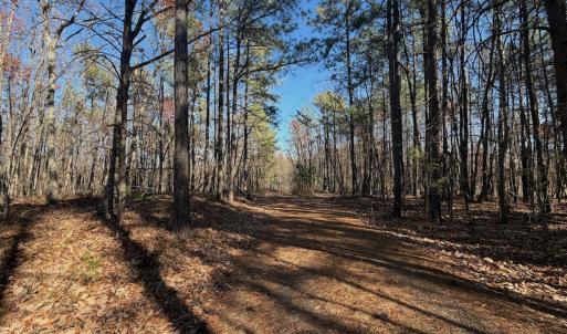 Photo #24 of Off Lemon Ridge Lane, Appomattox, VA 9.2 acres
