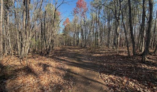 Photo #25 of Off Lemon Ridge Lane, Appomattox, VA 9.2 acres