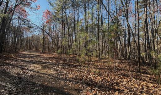 Photo #26 of Off Lemon Ridge Lane, Appomattox, VA 9.2 acres