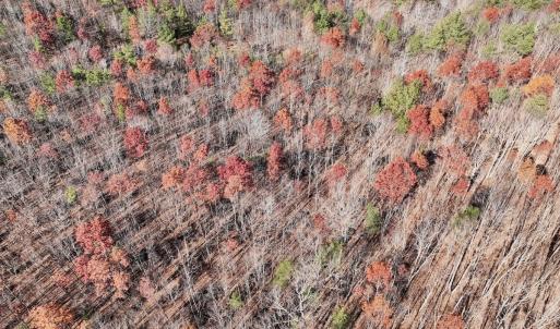 Photo #21 of Off Lemon Ridge Lane, Appomattox, VA 9.2 acres