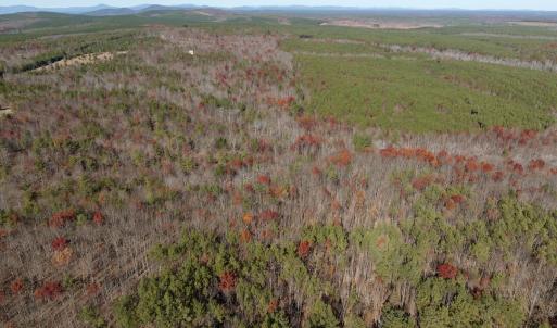 Photo #35 of Off Lemon Ridge Lane, Appomattox, VA 9.2 acres