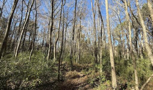 Photo #9 of Off NC HWY 902, Pittsboro, NC 8.3 acres