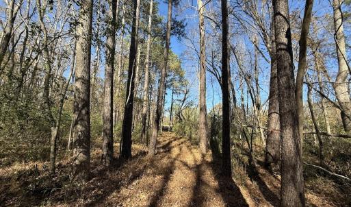 Photo #11 of Off NC HWY 902, Pittsboro, NC 8.3 acres