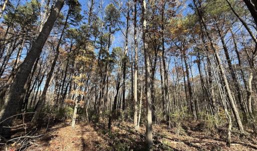 Photo #12 of Off NC HWY 902, Pittsboro, NC 8.3 acres