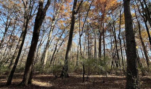 Photo #13 of Off NC HWY 902, Pittsboro, NC 8.3 acres
