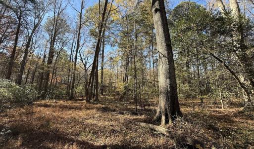 Photo #16 of Off NC HWY 902, Pittsboro, NC 8.3 acres