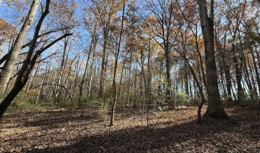 Photo #17 of Off NC HWY 902, Pittsboro, NC 8.3 acres