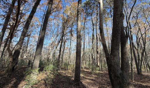Photo #18 of Off NC HWY 902, Pittsboro, NC 8.3 acres