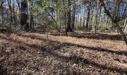 Photo #19 of Off NC HWY 902, Pittsboro, NC 8.3 acres