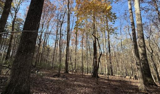 Photo #20 of Off NC HWY 902, Pittsboro, NC 8.3 acres