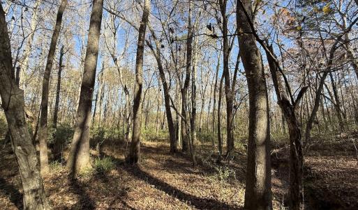 Photo #23 of Off NC HWY 902, Pittsboro, NC 8.3 acres