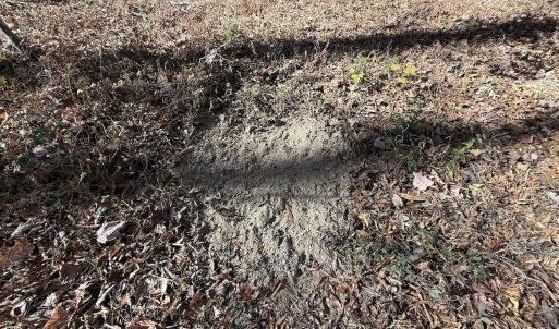 Photo #24 of Off NC HWY 902, Pittsboro, NC 8.3 acres