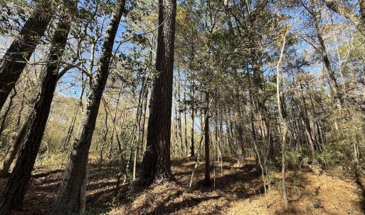 Photo #26 of Off NC HWY 902, Pittsboro, NC 8.3 acres