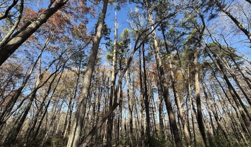 Photo #1 of Off NC HWY 902, Pittsboro, NC 8.3 acres