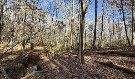 Photo #2 of Off NC HWY 902, Pittsboro, NC 8.3 acres