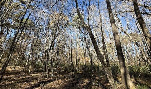 Photo #29 of Off NC HWY 902, Pittsboro, NC 8.3 acres