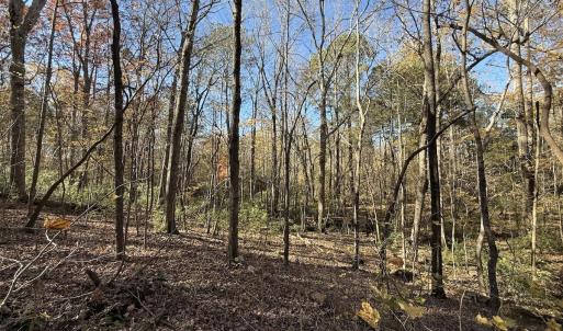 Photo #30 of Off NC HWY 902, Pittsboro, NC 8.3 acres