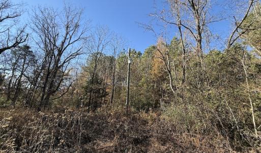 Photo #31 of Off NC HWY 902, Pittsboro, NC 8.3 acres