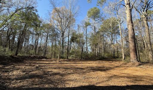 Photo #39 of Off NC HWY 902, Pittsboro, NC 8.3 acres