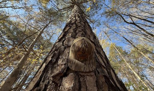 Photo #4 of Off NC HWY 902, Pittsboro, NC 8.3 acres