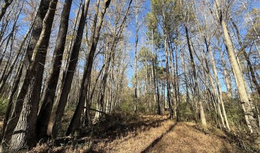 Photo #5 of Off NC HWY 902, Pittsboro, NC 8.3 acres