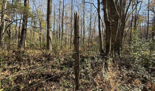 Photo #6 of Off NC HWY 902, Pittsboro, NC 8.3 acres