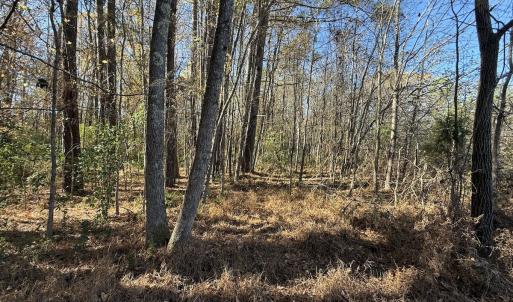 Photo #41 of Off NC HWY 902, Pittsboro, NC 8.3 acres