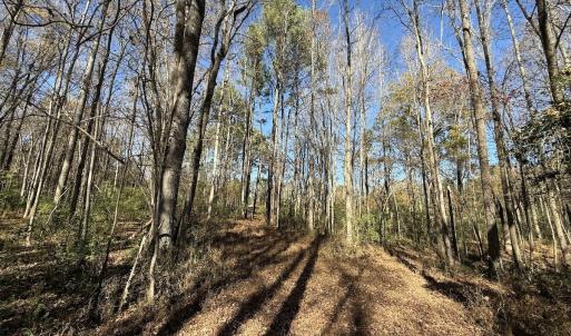 Photo #42 of Off NC HWY 902, Pittsboro, NC 8.3 acres