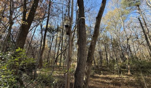 Photo #43 of Off NC HWY 902, Pittsboro, NC 8.3 acres