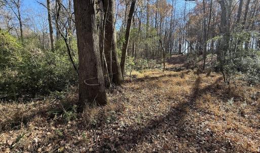 Photo #44 of Off NC HWY 902, Pittsboro, NC 8.3 acres
