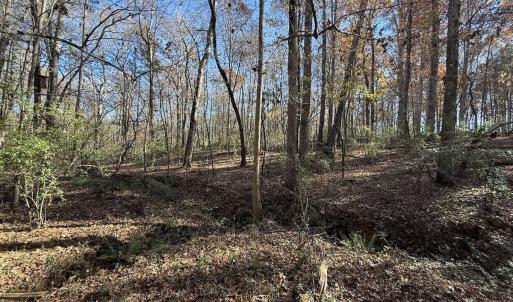 Photo #46 of Off NC HWY 902, Pittsboro, NC 8.3 acres