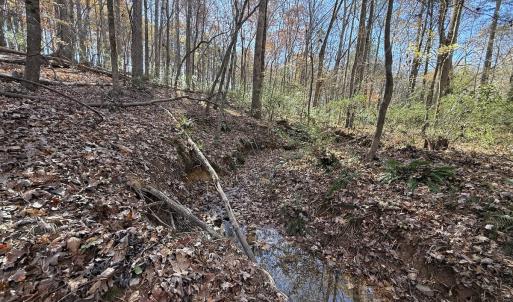 Photo #47 of Off NC HWY 902, Pittsboro, NC 8.3 acres
