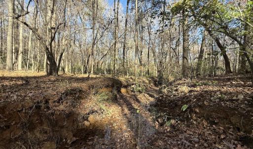 Photo #48 of Off NC HWY 902, Pittsboro, NC 8.3 acres