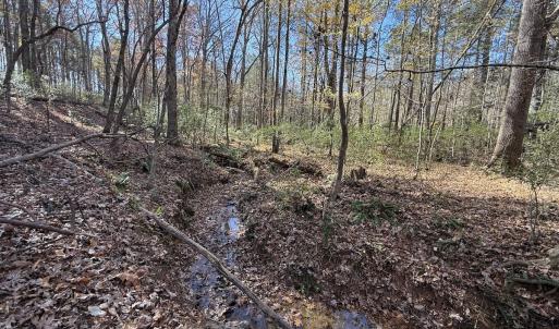 Photo #49 of Off NC HWY 902, Pittsboro, NC 8.3 acres