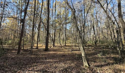 Photo #50 of Off NC HWY 902, Pittsboro, NC 8.3 acres
