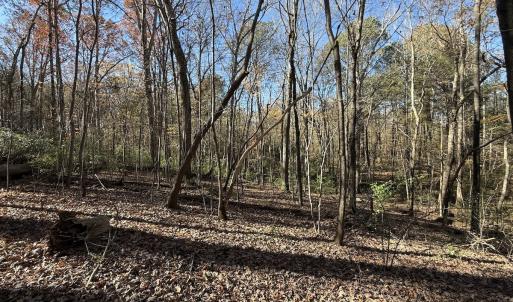 Photo #51 of Off NC HWY 902, Pittsboro, NC 8.3 acres