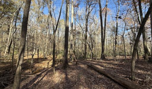 Photo #52 of Off NC HWY 902, Pittsboro, NC 8.3 acres