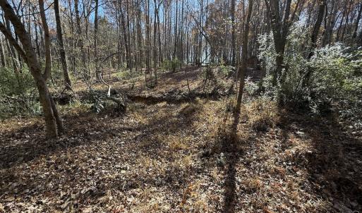 Photo #53 of Off NC HWY 902, Pittsboro, NC 8.3 acres