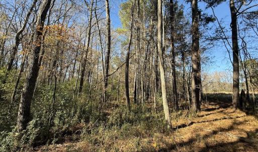 Photo #54 of Off NC HWY 902, Pittsboro, NC 8.3 acres