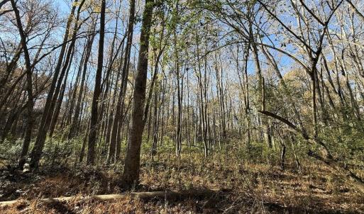 Photo #55 of Off NC HWY 902, Pittsboro, NC 8.3 acres