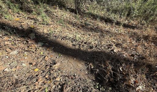 Photo #56 of Off NC HWY 902, Pittsboro, NC 8.3 acres