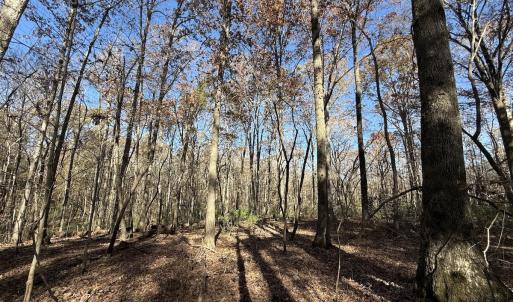 Photo #57 of Off NC HWY 902, Pittsboro, NC 8.3 acres