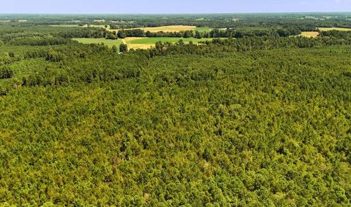 Photo #10 of Off Lagrange Rd, La Grange, NC 86.7 acres