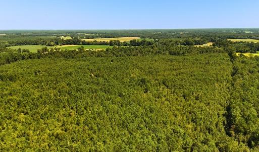 Photo #14 of Off Lagrange Rd, La Grange, NC 86.7 acres