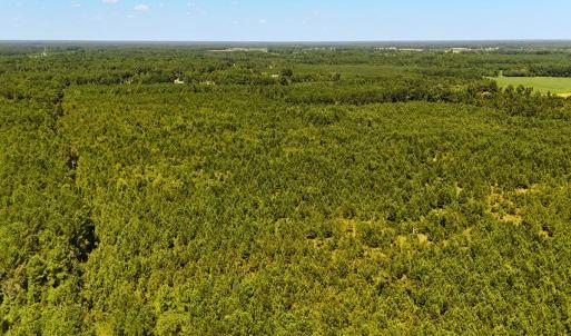 Photo #15 of Off Lagrange Rd, La Grange, NC 86.7 acres