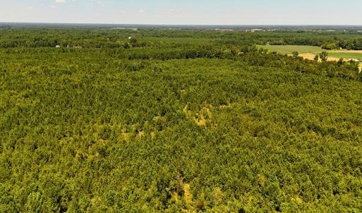 Photo #16 of Off Lagrange Rd, La Grange, NC 86.7 acres