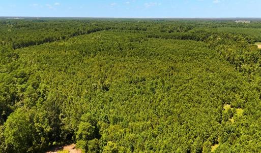 Photo #17 of Off Lagrange Rd, La Grange, NC 86.7 acres