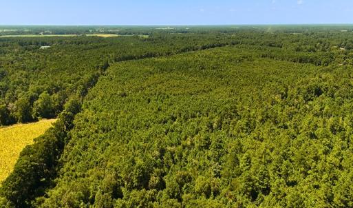 Photo #21 of Off Lagrange Rd, La Grange, NC 86.7 acres