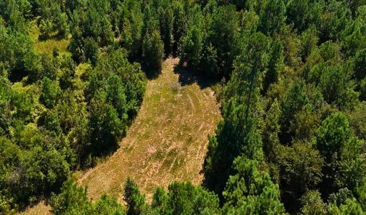 Photo #24 of Off Lagrange Rd, La Grange, NC 86.7 acres